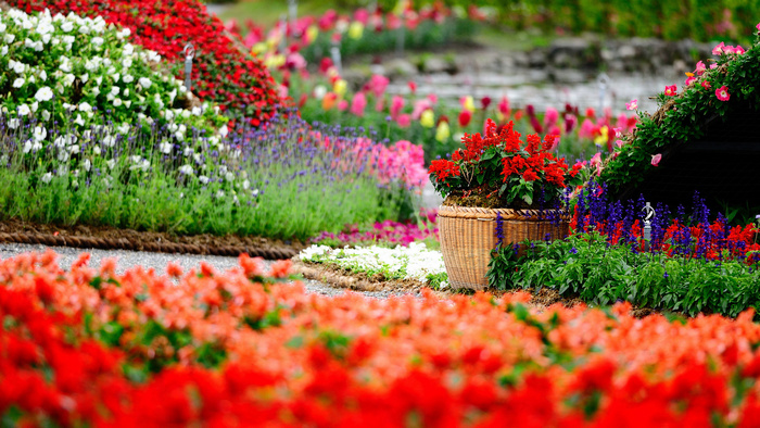 Удобрения для цветов японские - купить у производителя недорого удобрениядля цветущих растений из Японии