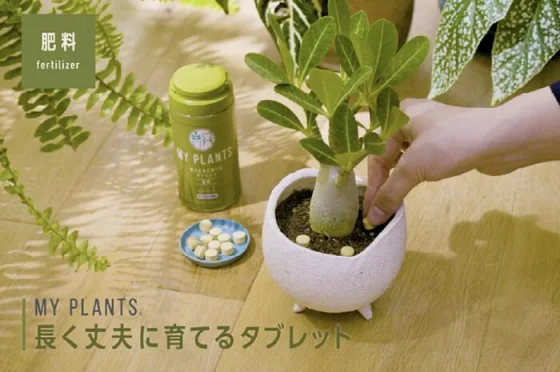 Удобрение My Plants — фото 2